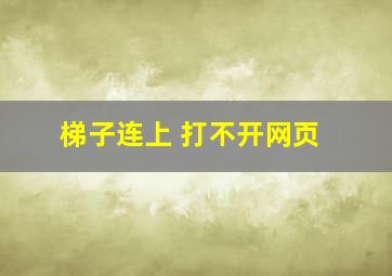 梯子连上 打不开网页